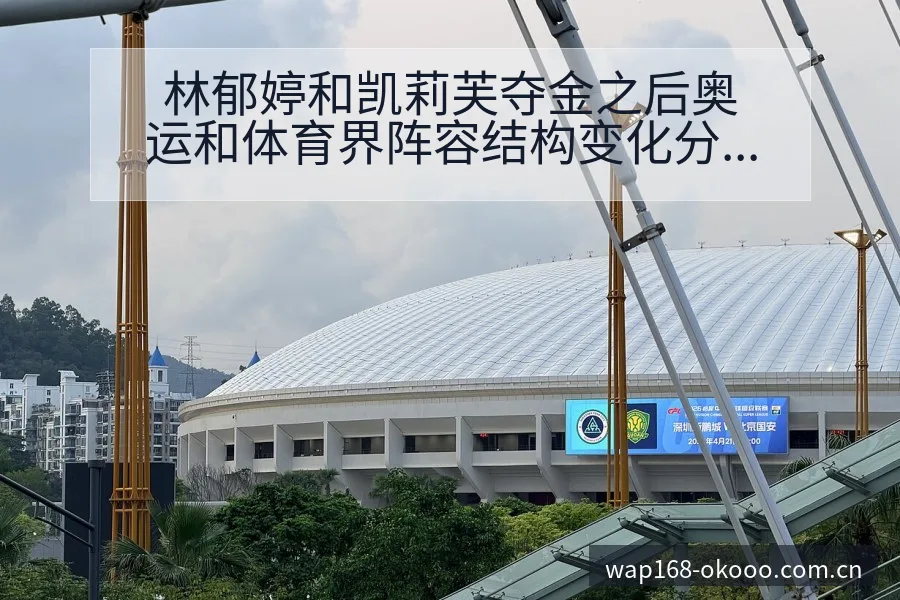 林郁婷和凯莉芙夺金之后奥运和体育界阵容结构变化分析 - 澳客