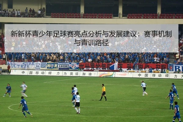 新新杯青少年足球赛亮点分析与发展建议：赛事机制与青训路径